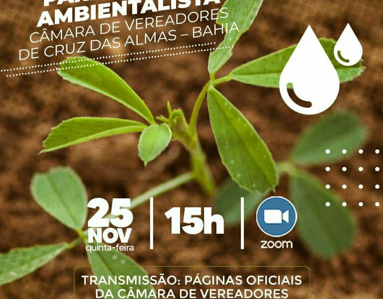 Com diversas apresentações artísticas, Câmara de Cruz das Almas realiza Sessão Solene em alusão ao Dia da Consciência Negra